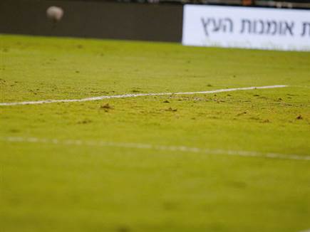 sportFive1439472 (צילום: ספורט 5)