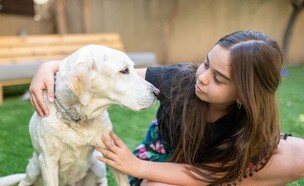 כלבים  (צילום: ענת פנחס)