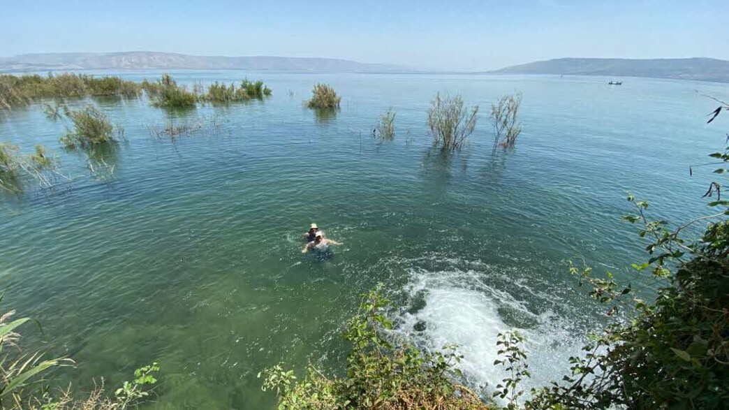 עין איוב כנרת (צילום: מירב טלמור-קשי)