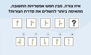 חידת השלמה הסדרה (איור: הפרופסור הלא המפוזר)