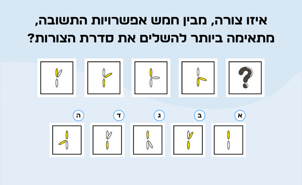 חידת השלמה הסדרה (איור: הפרופסור הלא המפוזר)