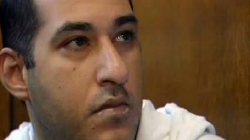 ארז טבעוני ארז טבעוני