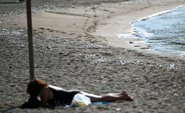 חוף יוון דגים מתים (צילום: ALEXANDROS ALAMANIOTIS , getty images)