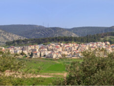נדלן 4.9