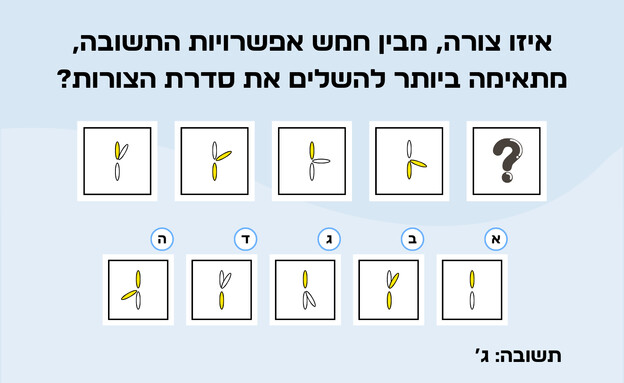 חידת השלמה הסדרה - תשובה (איור: הפרופסור הלא המפוזר)