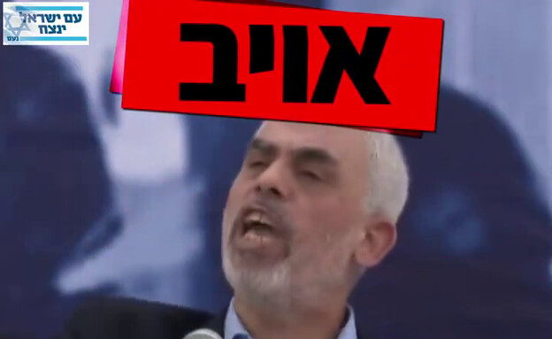 סינוואר - אויב. הסרטון של אבי מעוז (צילום: מתוך עמוד רשת  X של אבי מעוז)