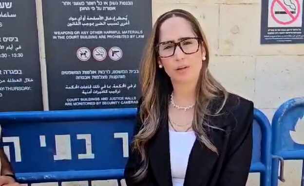 הלי לוי, רכבה נופץ בידי מפגין נגד המהפכה המשפטית  (צילום: אם תרצו)