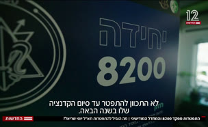 208200mefaked_vtr2_n20240912_v1 (צילום: חדשות)