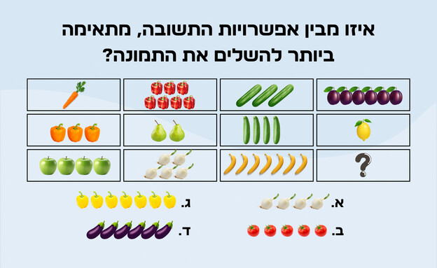 חידת הפירות (איור: הפרופסור הלא המפוזר)