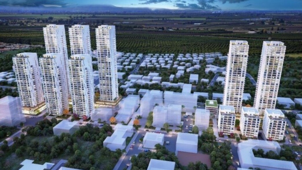 נדלן 16.9 נדלן 16.9