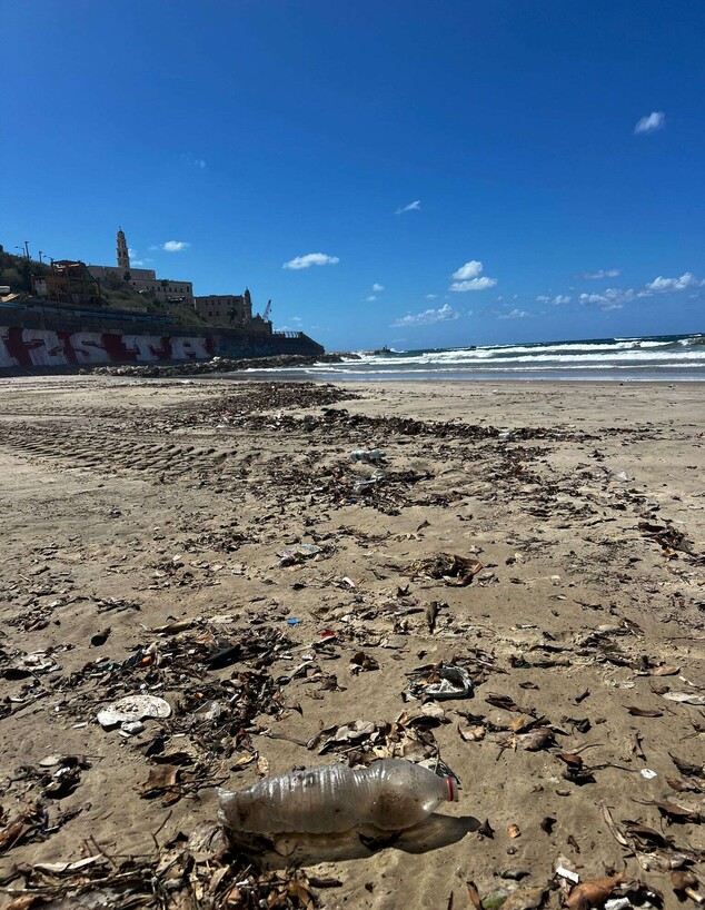 החופים בת"א שנצבעו שחור בגלל זרימת ביוב ולכלוך (צילום: נדב דסברג)