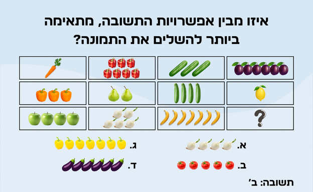 תשובת פירות וירקות (איור: הפרופסור הלא המפוזר)