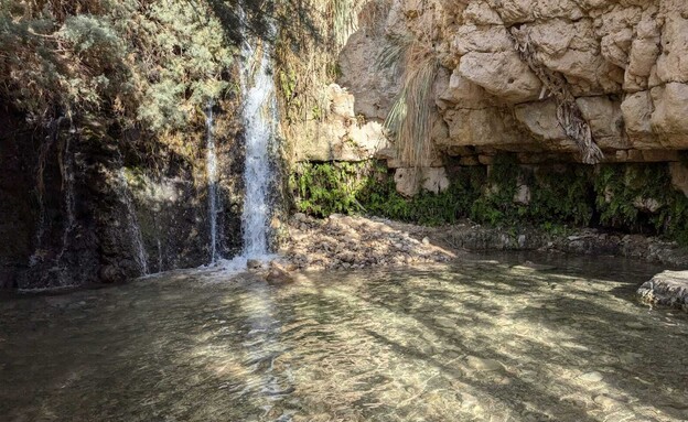 מלון עין גדי (צילום: אילן ארנון)