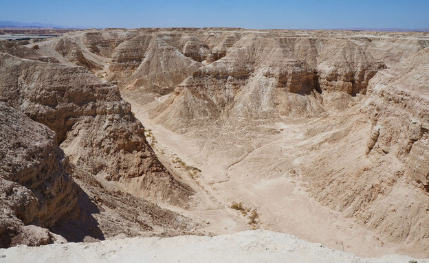 הערבה מסלול  (צילום: Bakusova, shutterstock)