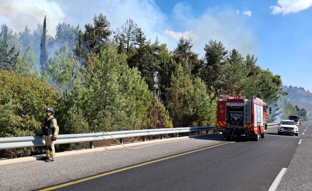 שרפה צפון (צילום: כבאות והצלה)