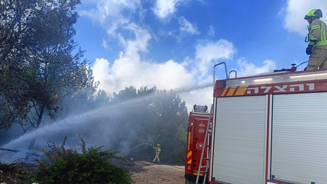 הצתה ביערות הכרמל (צילום: כיבוי אש חיפה)