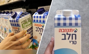 קרטון חלב של תנובה עם פקק לבן ועם פקק כחול (צילום: פרטי, shutterstock)