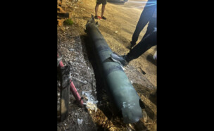 מיירט שנפל בצפון (צילום: לפי סעיף 27א' לחוק זכויות יוצרים)