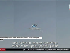 20yerigushdan_vtr2_n20240925_v1 (צילום: חדשות)