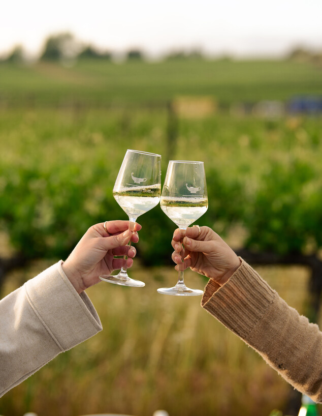 יקב רמת הגולן חגים 2024/2