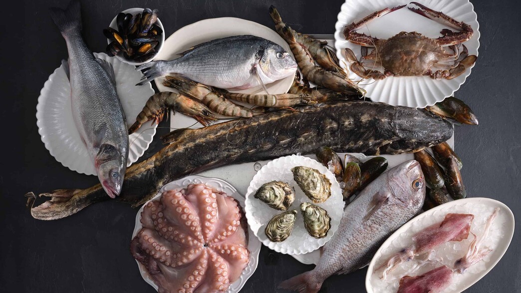 חוויה קולינרית בינלאומית 