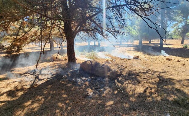 נזק ופרות מתות כתוצאה מנפילת כטב"ם בגולן