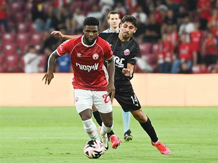 (ברני ארדוב)