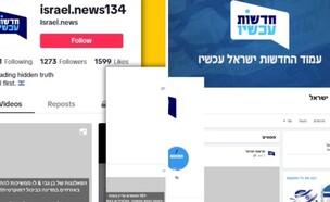 עמודים מזויפים (צילום: @FakeReporter)