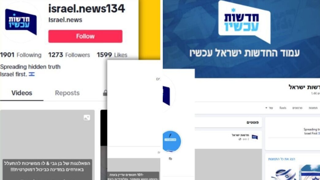 עמודים מזויפים (צילום: @FakeReporter)