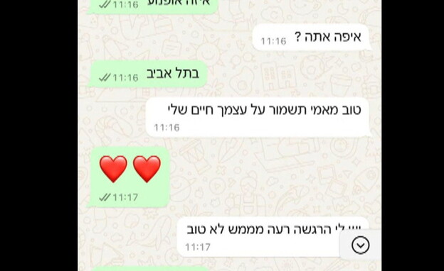 ההתכתבויות האחרונות של עדן ואלירן אברג'ל (צילום: חדשות 12)