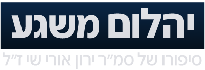 לוגו יהלום משגע