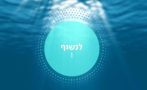 Copy(2) of שיבא (צילום:  יחידת הצילום שיבא)