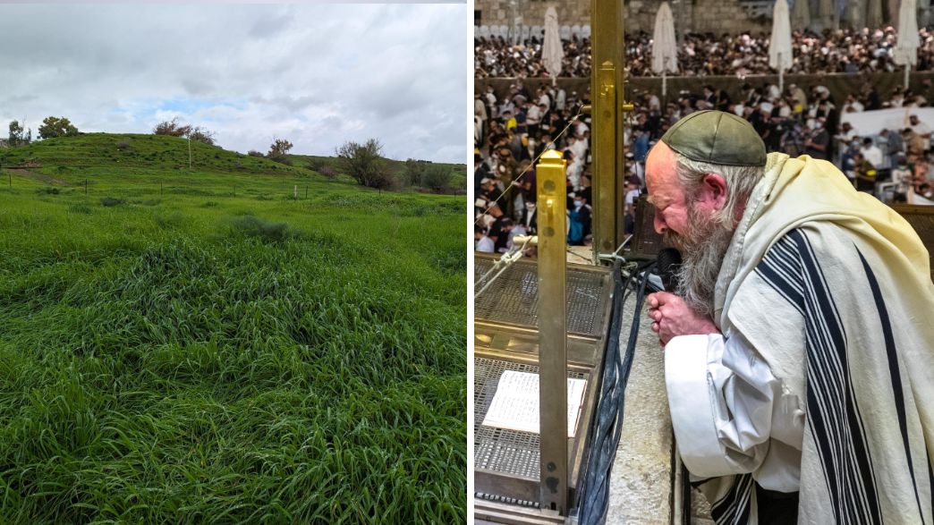 תחזית יום כיפור (צילום: אוליביה פיטוסי: פלאש 90 | אילן ארנון)