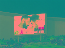 sportFive1457505 (צילום: ספורט 5)