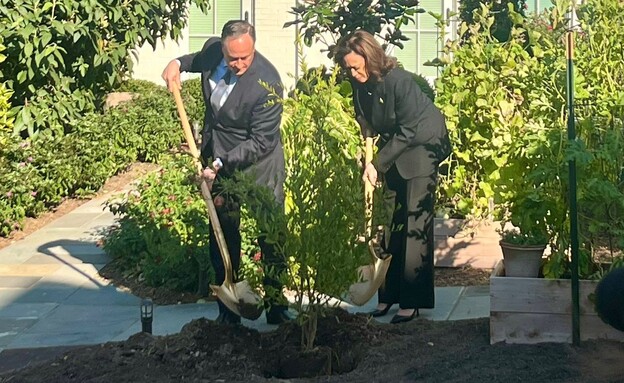 קמלה האריס נוטעת עץ לזכר נרצחי השביעי באוקטובר (צילום: הבית הלבן)