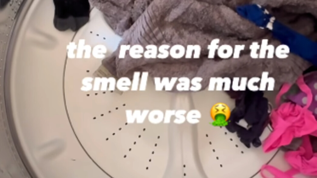 עכבר מת בתוך מכונת הכביסה עכבר מת בתוך מכונת הכביסה