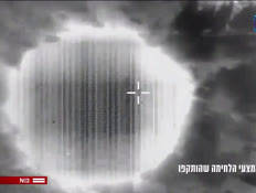 19hagari_vtr2_n20241010_v1 (צילום: חדשות)