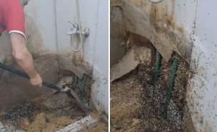 סן ויסנטה (צילום: מתוך הרשתות החברתיות לפי סעיף 27א' לחוק זכויות יוצרים)