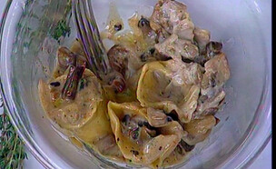 הטורטליני של רוי (צילום: mako)