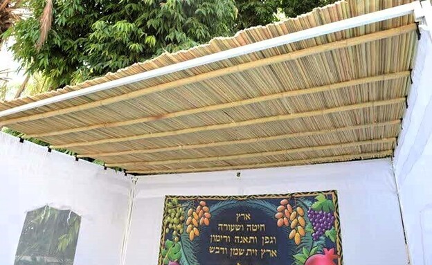 סכך לסוכה קני סוף נחלים סכך לסוכה קני סוף נחלים