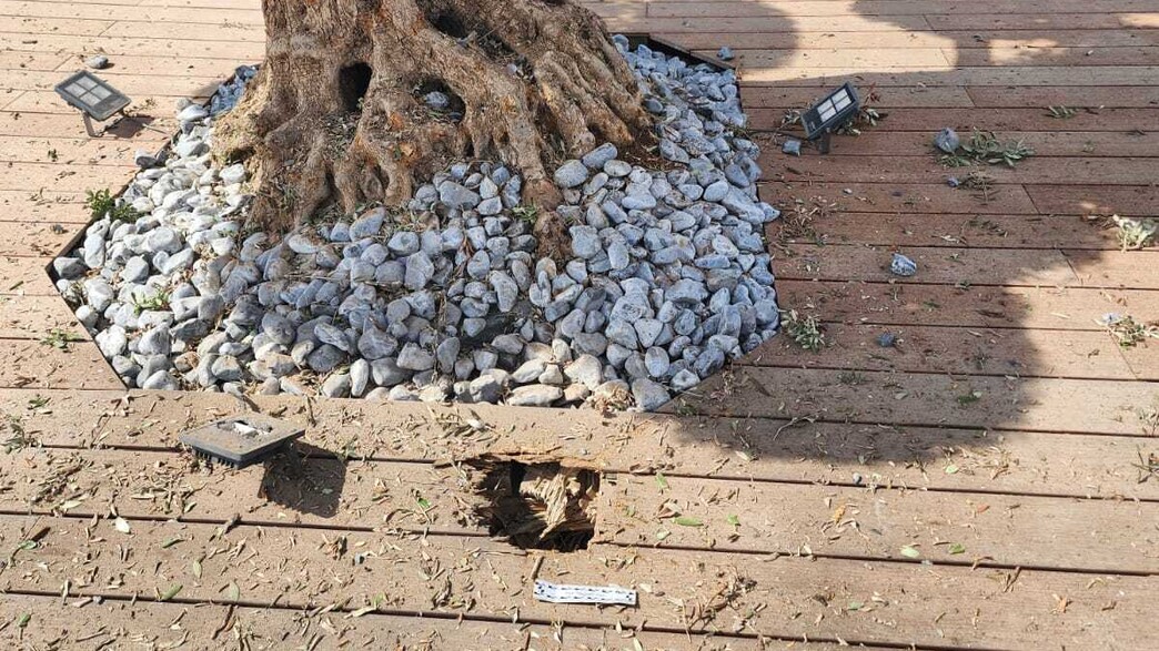 הנזק לבית העסק בנתיבות בעקבות זריקת הרימון הנזק לבית העסק בנתיבות בעקבות זריקת הרימון