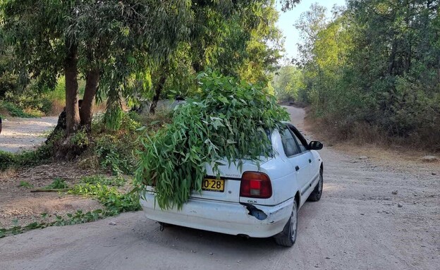 סכך קקל סכך קקל