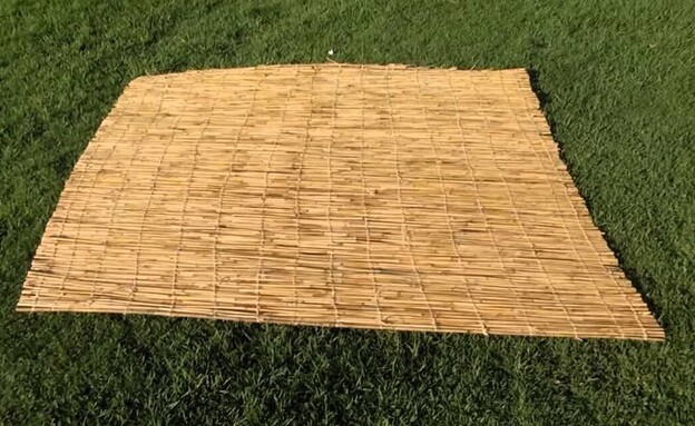 סכך לסוכה קני סוף נחלים סכך לסוכה קני סוף נחלים