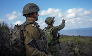 פעילות כוחות צה"ל בדרום לבנון (צילום: דובר צה"ל)