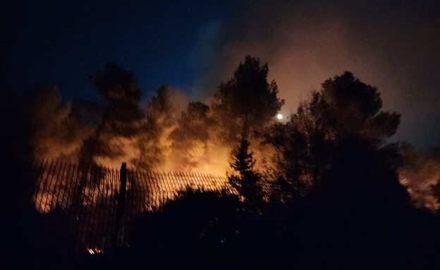 שרפה בשלומי (צילום: דוברות כבאות והצלה לישראל מחוז חוף)