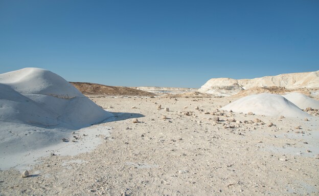 גבעות חמוקי ניצנה נוף (צילום: Avi Rozen, shutterstock)