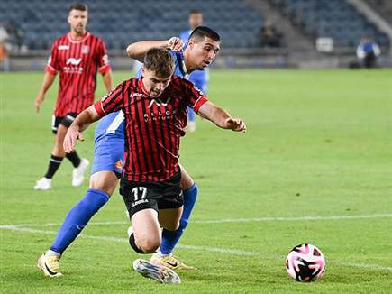 ירושלים הייתה טובה יותר (ברני ארדוב)