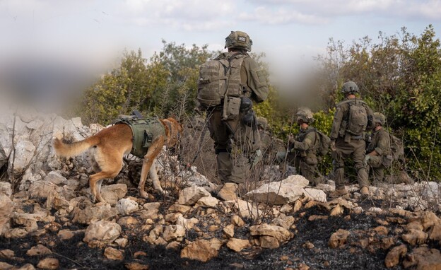 הכוחות מעבר לגבול (צילום: דובר צה