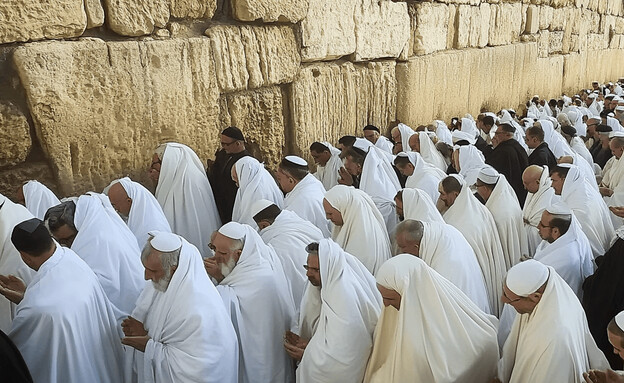 גברים מתפללים בשמחת תורה (הדמיה: mako)