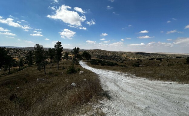  גבעות גד (צילום: מירב טלמור קשי)